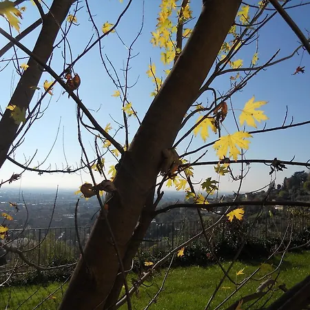 Sant'erasmo 3*