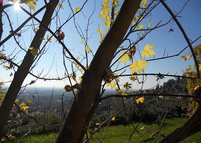 圣特拉思默住宿加早餐旅馆 3*